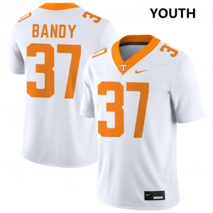 Montrell Bandy UT Volunteers #37 Alumni College Football Youth Jersey - White 814712-464